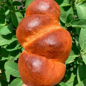 Brioche