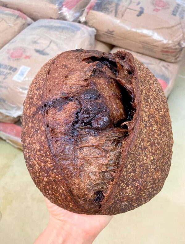 Cacau com Chocolate