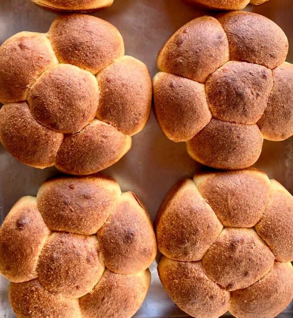 Pão de Milho