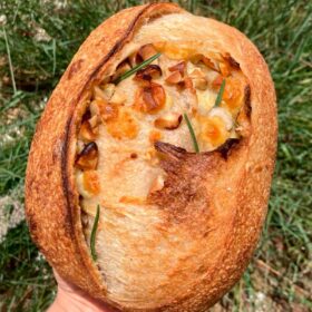 Provolone com Castanha do Pará e Alecrim