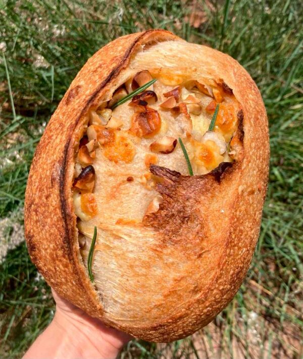 Provolone com Castanha do Pará e Alecrim